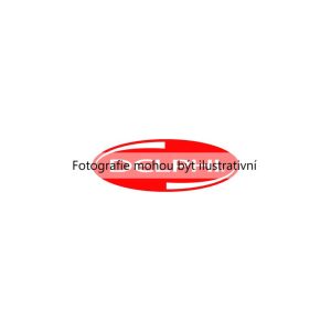 Brzdové destičky (DELPHI LP1624) 3425374