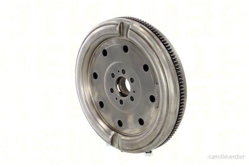 Dvouhmotový setrvačník LUK 415054809
