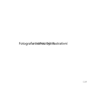 Vzduchový filtr (JC PREMIUM B28003PR) 2856721 Vzduchový filtr (JC PREMIUM B28003PR) 2856721