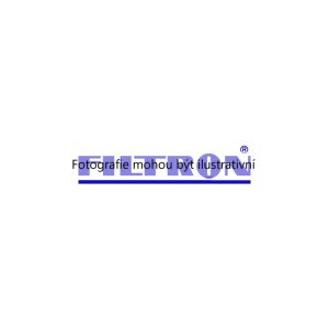 Vzduchový filtr (FILTRON AP029) 5589186
