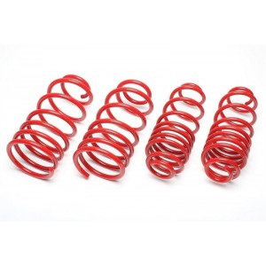 Sportovní pružiny 45/35mm Seat Exeo ST (3R5) EVOSE073F