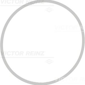 Těsnění, koleno sacího potrubí VICTOR REINZ 71-39409-00 Těsnění, koleno sacího potrubí VICTOR REINZ 71-39409-00