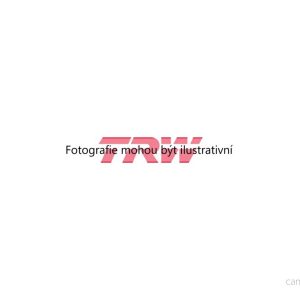 Brzdové destičky (TRW GDB3195) 4333875