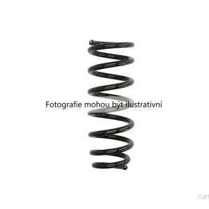 Pružina pérování (MAGNUM SX116MT) 5377117